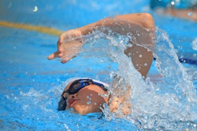 中学生 体育 水泳 で定期テストによく出題されること 江戸川区一之江 船堀で確実に成績が上がる学習塾をお探しなら東都ゼミナールへ